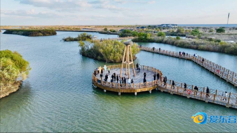 领袖的角色 领袖的角色