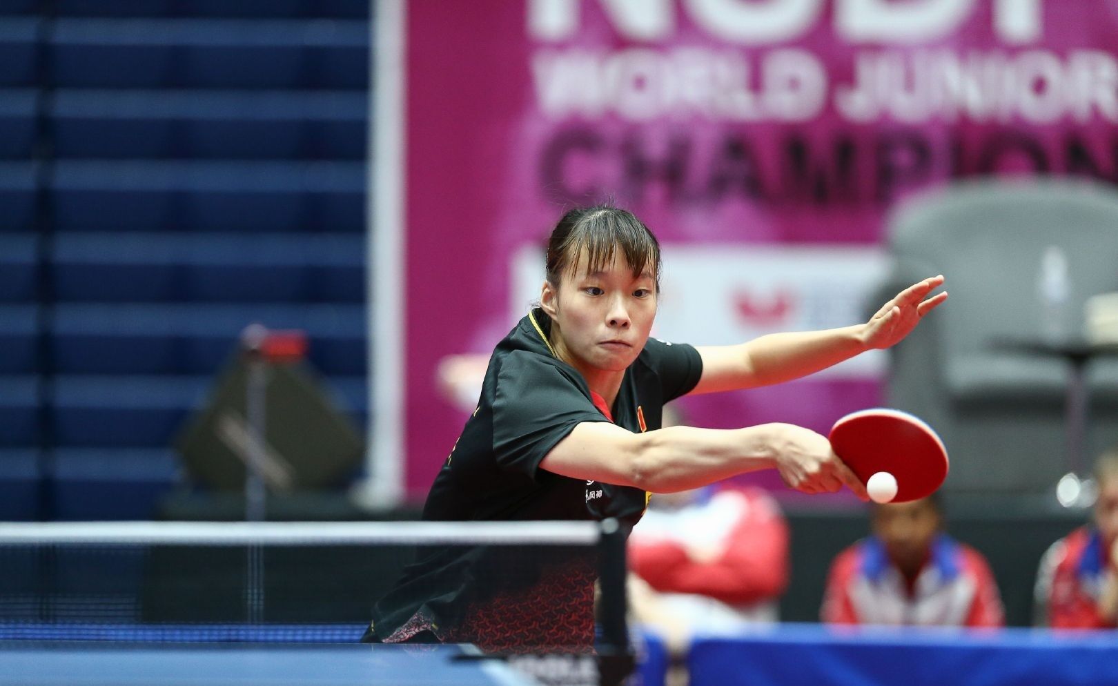 是激动人心 是激动人心